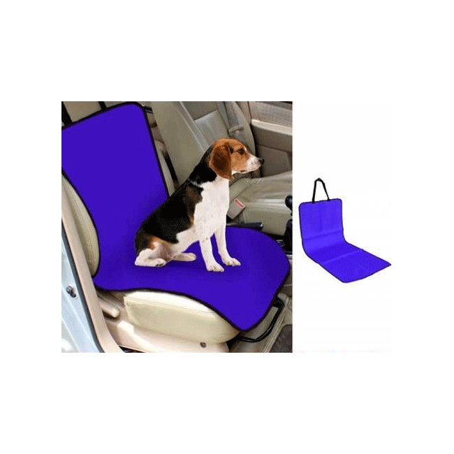Text