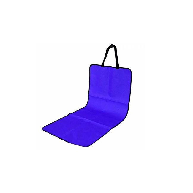 Text