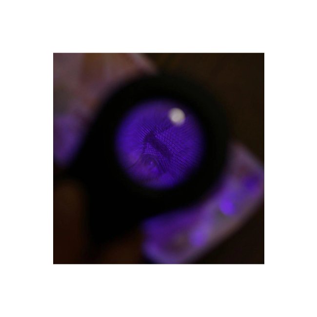 Text