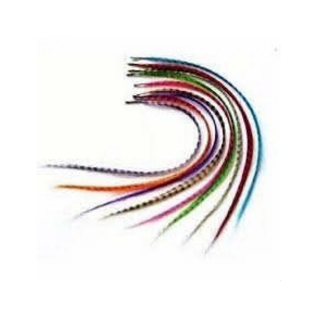 Text