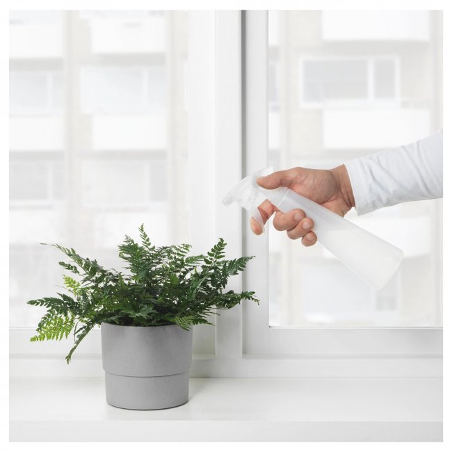 Text