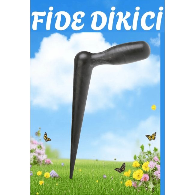 Text