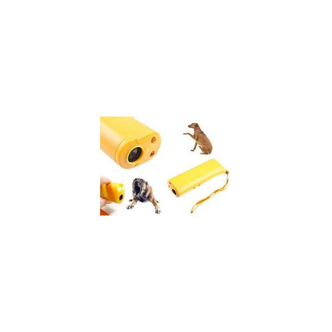Text