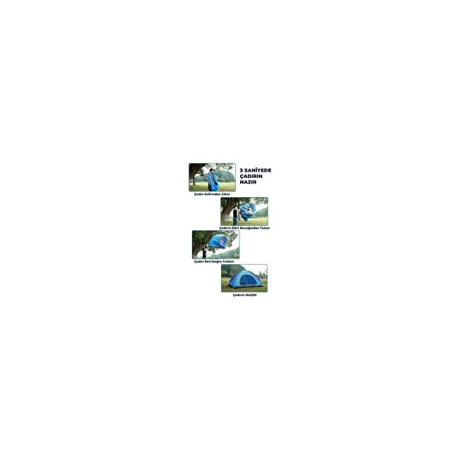 Text