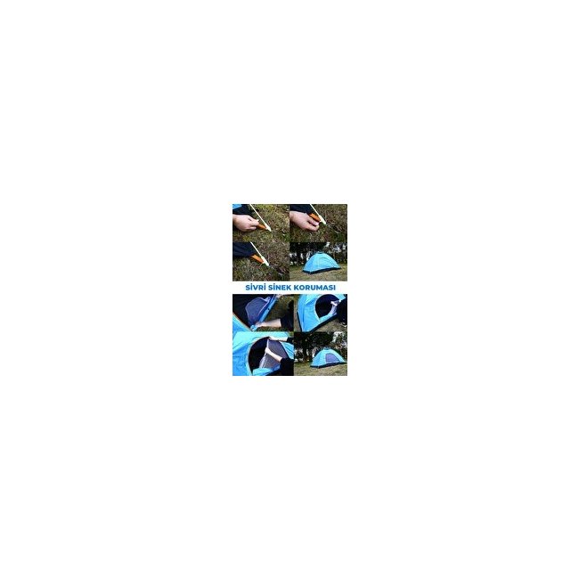 Text