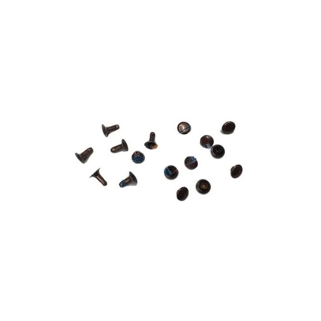 Text