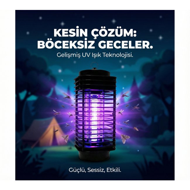 Text