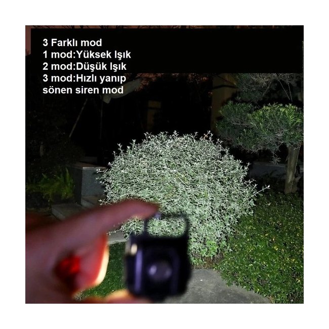 Text