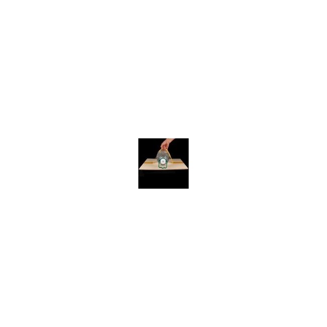 Text