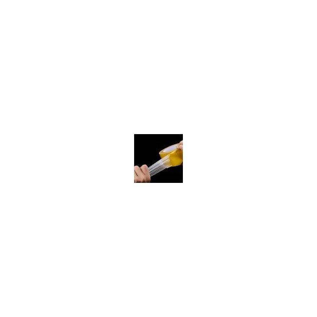 Text